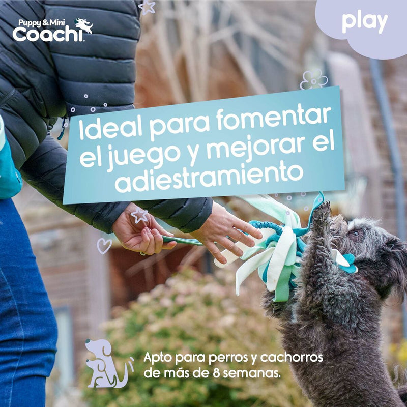 Legetøj til hunde Coachi PUPPY & MINI TUGGI SPIDER Grøn