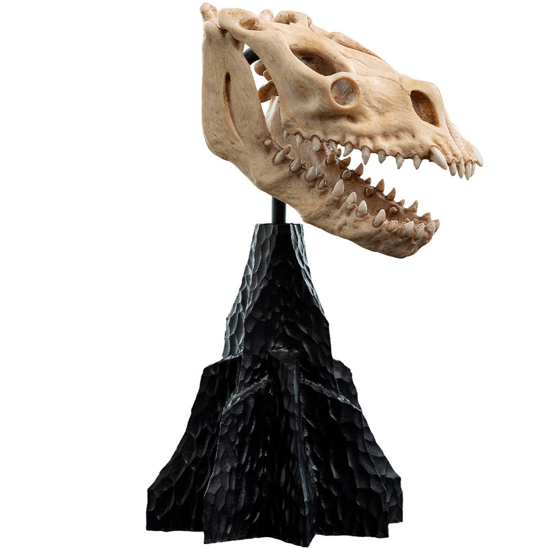 Weta Workshop Lord of the Rings - kranie af et Fell Beast, miniature