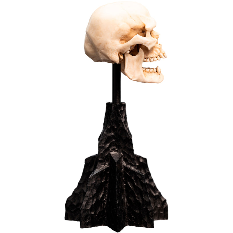 Weta Workshop The Lord of the Rings - minikranie af en Mordor Orc