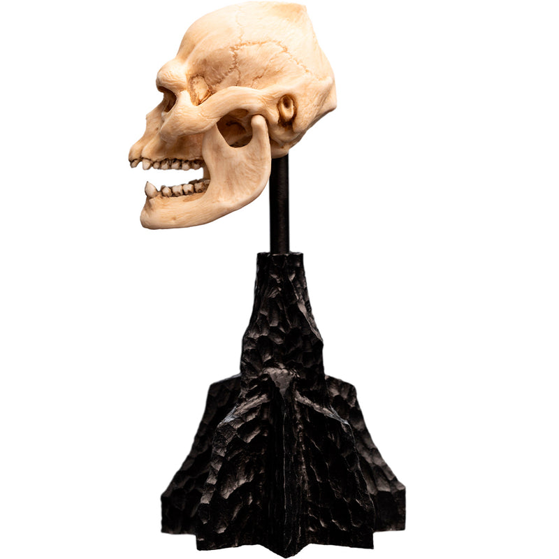Weta Workshop Lord of the Rings - kranie af Lurtz, miniature