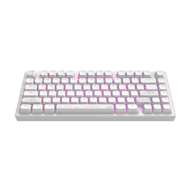 Dark Project ALU Terra Nostra hvid - kablet gamingtastatur (ANSI)
