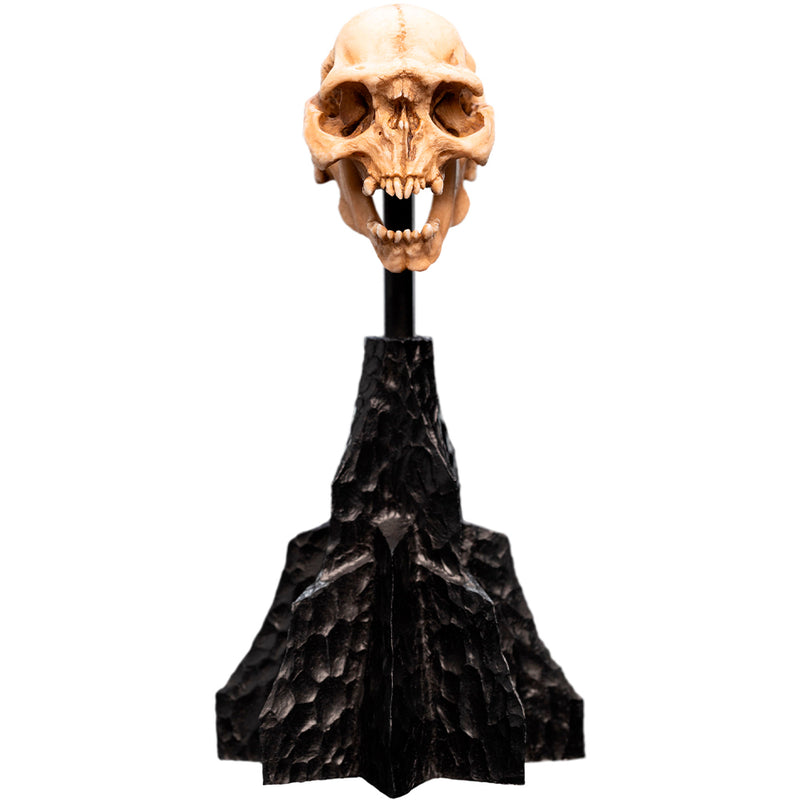 Weta Workshop Lord of the Rings - kranie af en Moria Orc, miniature