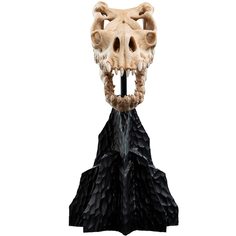 Weta Workshop Lord of the Rings - kranie af et Fell Beast, miniature
