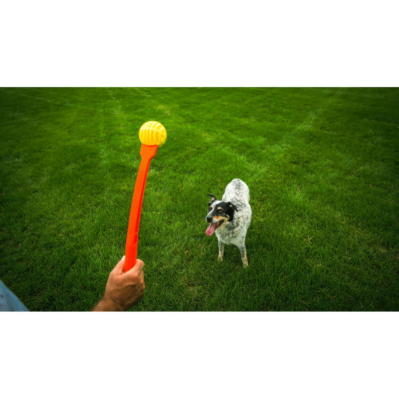 Boldkaster til hunde Hunter Gul Orange Gummi Krogla