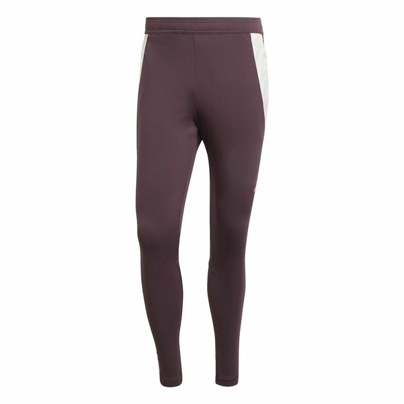 Lange sportsbukser Adidas Fc Bayern 24/25 Tiro24 Brun Rødbrun Mænd