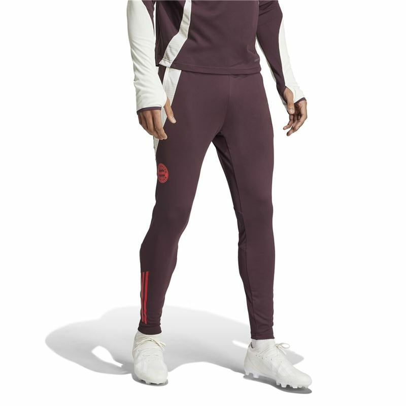 Lange sportsbukser Adidas Fc Bayern 24/25 Tiro24 Brun Rødbrun Mænd