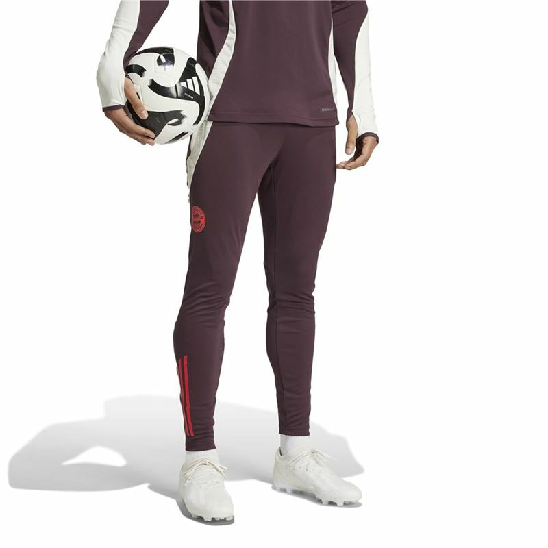 Lange sportsbukser Adidas Fc Bayern 24/25 Tiro24 Brun Rødbrun Mænd