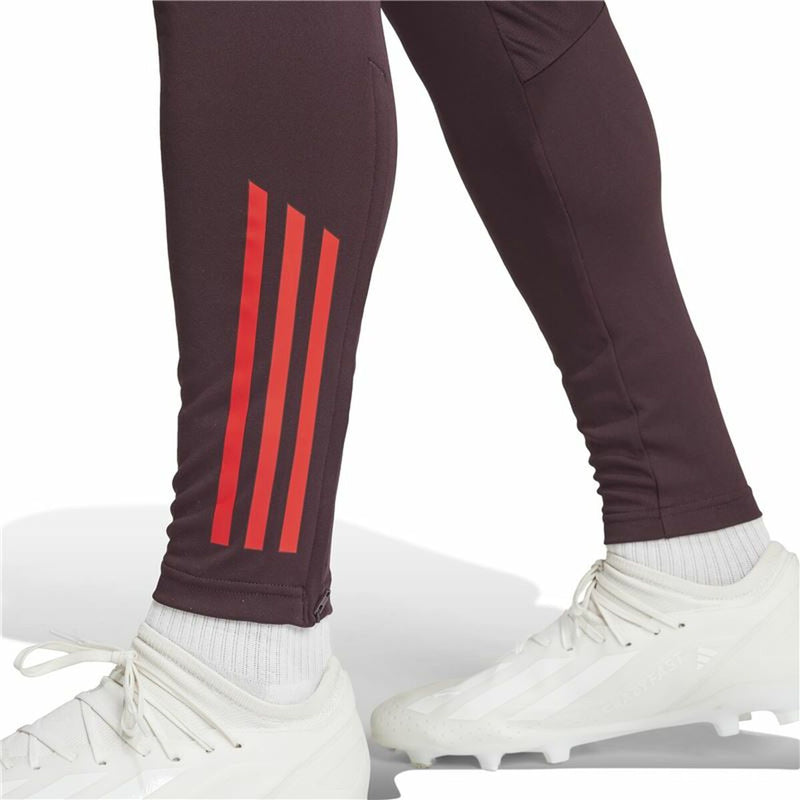 Lange sportsbukser Adidas Fc Bayern 24/25 Tiro24 Brun Rødbrun Mænd