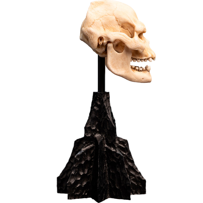 Weta Workshop Lord of the Rings - kranie af Lurtz, miniature