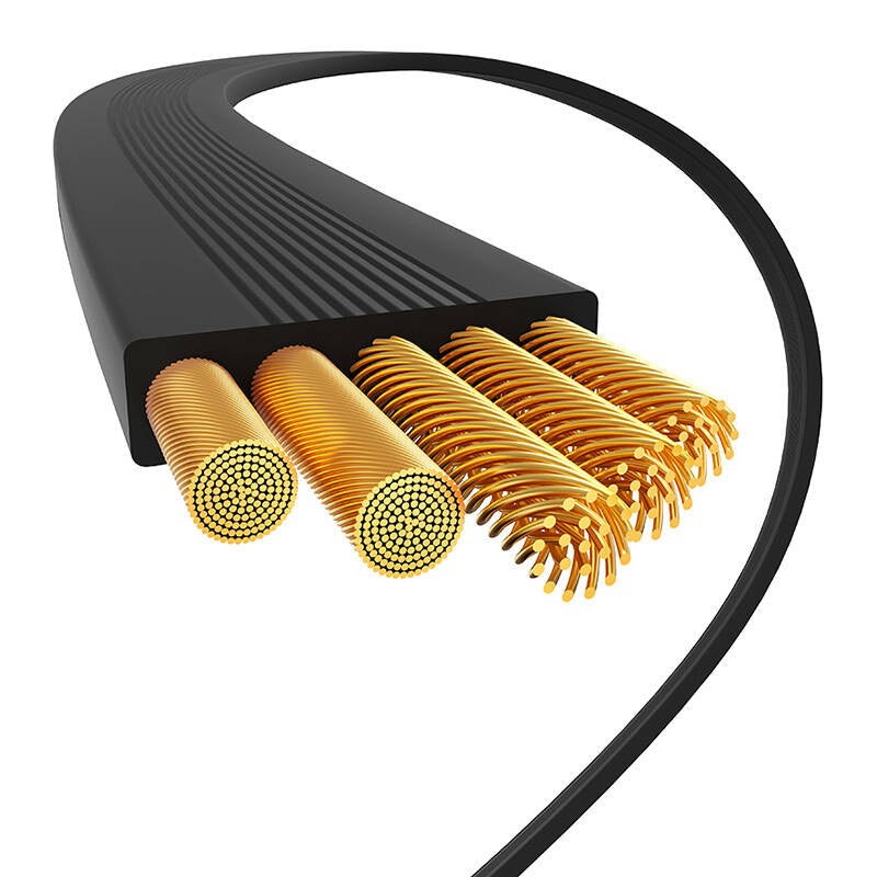 Baseus USB-C til USB-C ladekabel 100W (sort) Bayern Edition