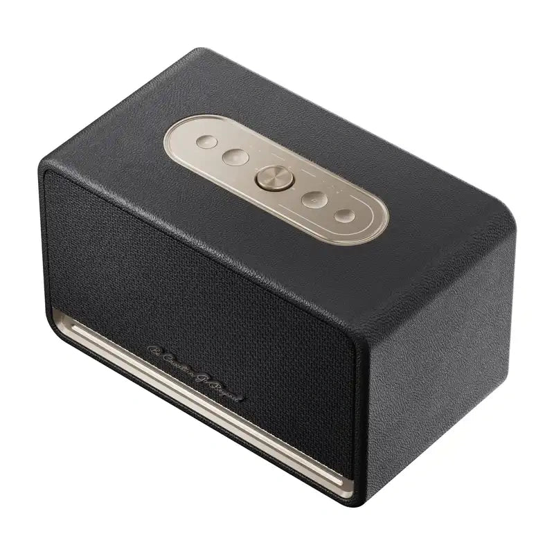 QCY SP300 trådløs højttaler (sort)