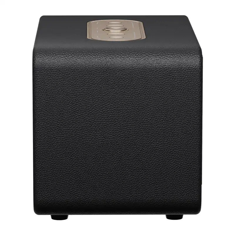 QCY SP300 trådløs højttaler (sort)