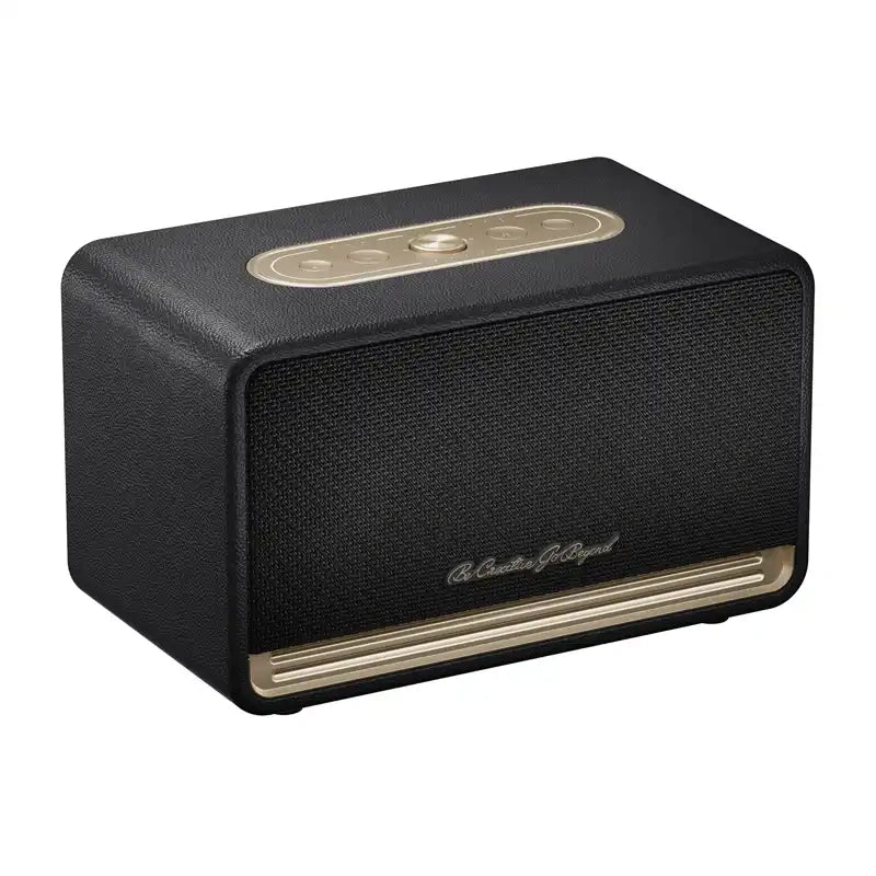 QCY SP300 trådløs højttaler (sort)