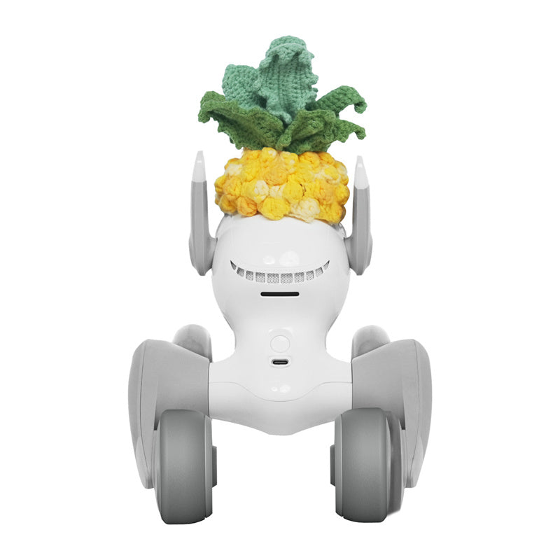 Strikket dragt til Loona Premium, ananas