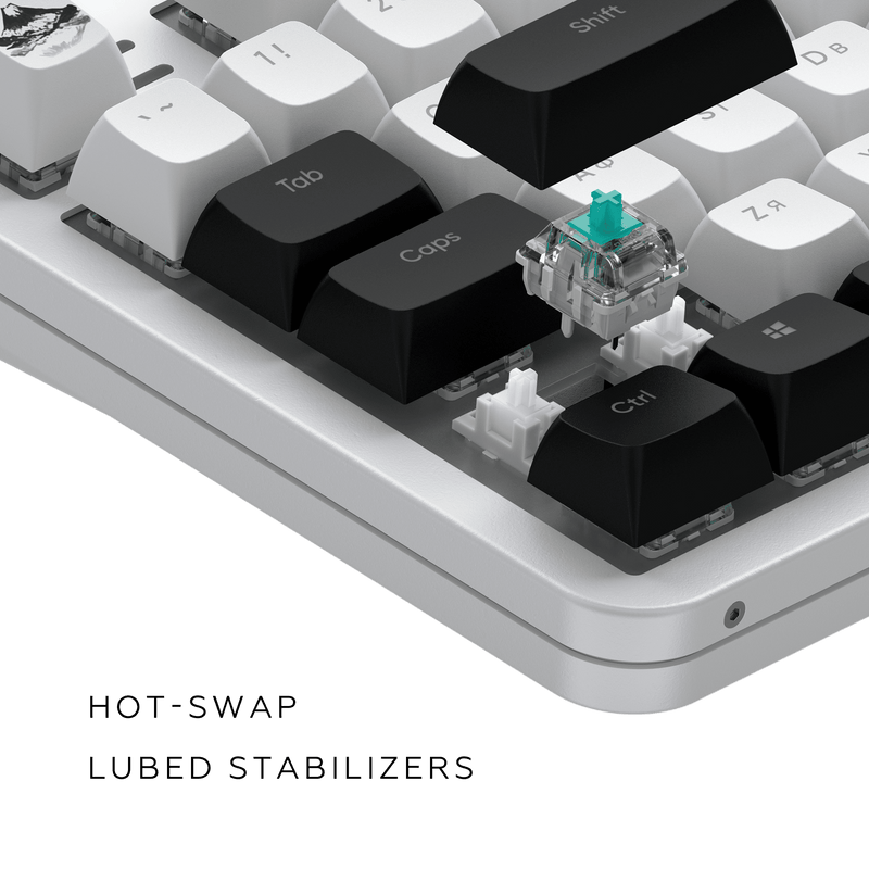 Dark Project ALU87 Fuji II - mekanisk gamingtastatur (ANSI UA)