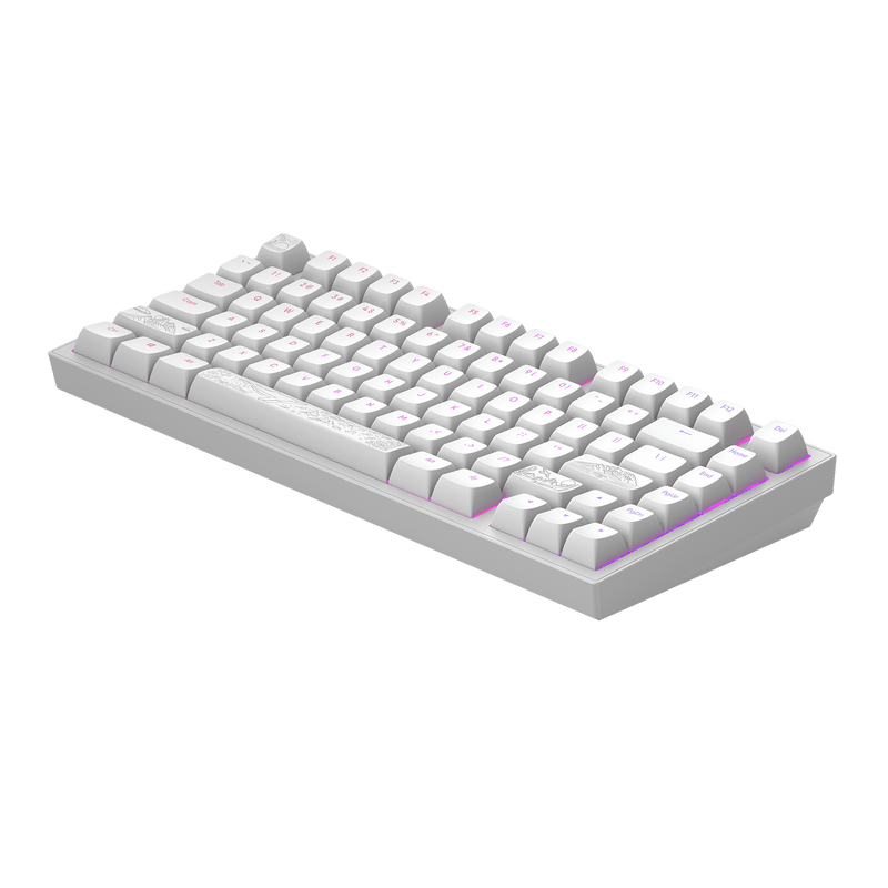 Dark Project ALU Terra Nostra R2 hvid - kablet gamingtastatur (ANSI)
