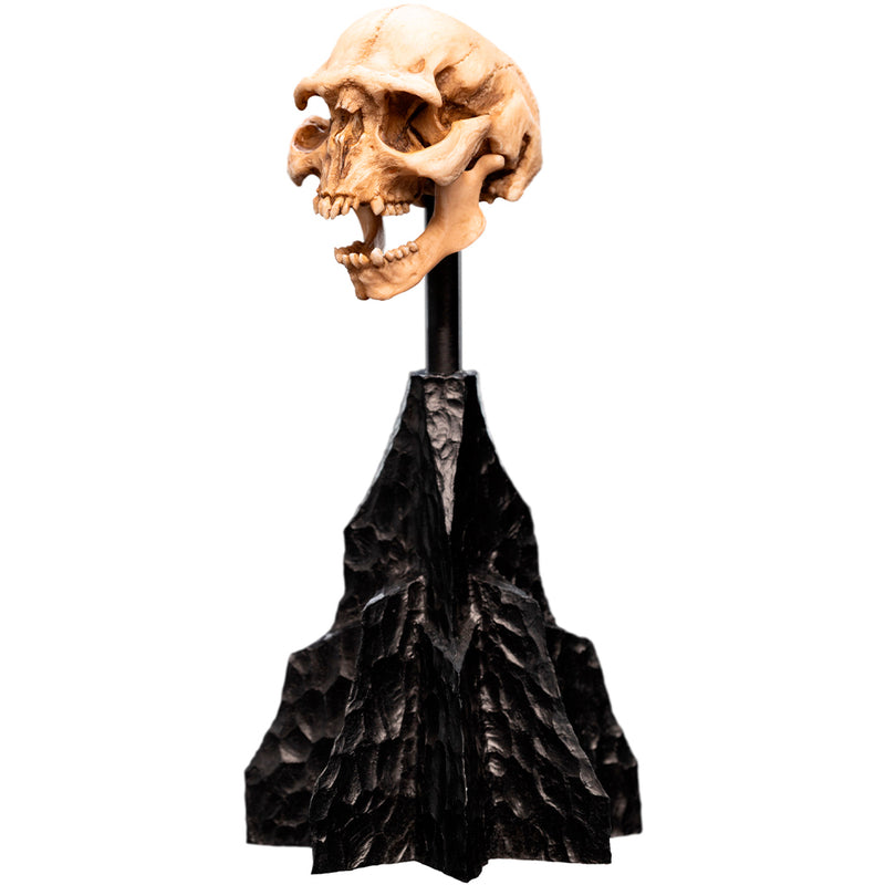 Weta Workshop Lord of the Rings - kranie af en Moria Orc, miniature