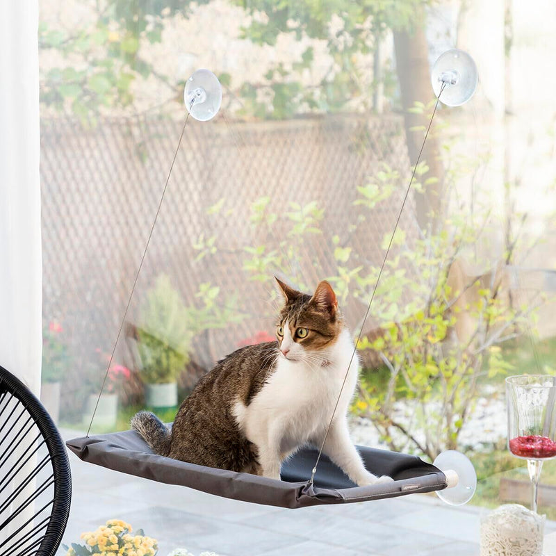 Hængende kat hængekøje Catlax InnovaGoods V0103474 Hvid Grå (Refurbished A)