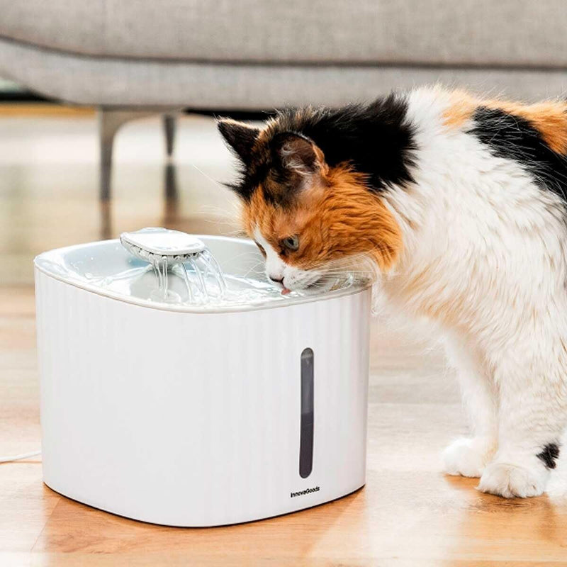 Drikkevandsfontæne til kæledyr InnovaGoods polypropylen 3 L (Refurbished C)