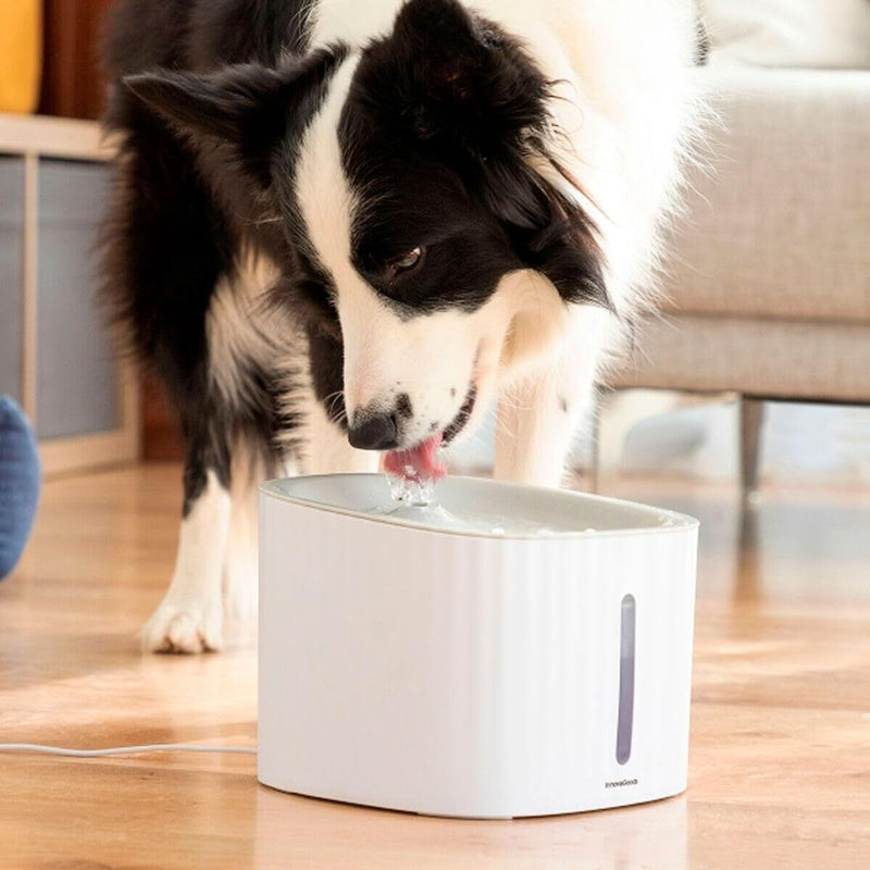 Drikkevandsfontæne til kæledyr InnovaGoods polypropylen 3 L (Refurbished C)