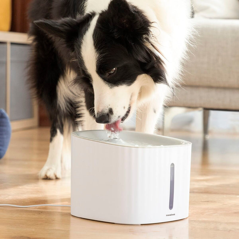 Drikkevandsfontæne til kæledyr InnovaGoods polypropylen 3 L (Refurbished C)