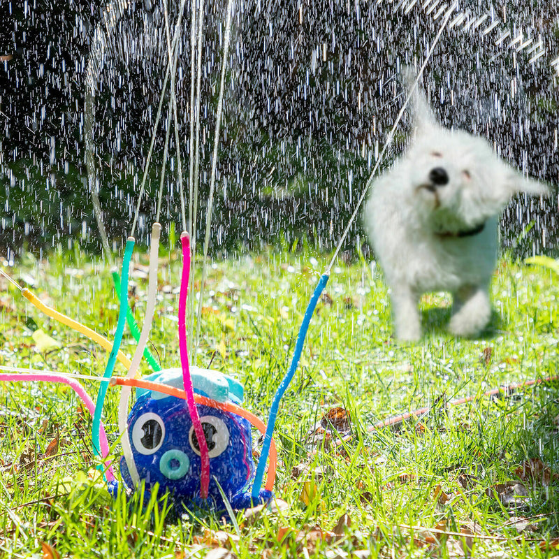 Pack Gigantiske oppustelige bumper ball og Legetøjs vandsprinkler InnovaGoods