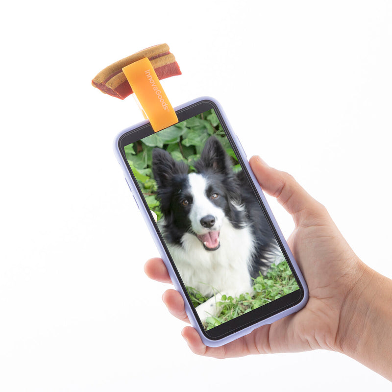 Pack Klip af selfie til kæledyr og Hængende kat hængekøje InnovaGoods