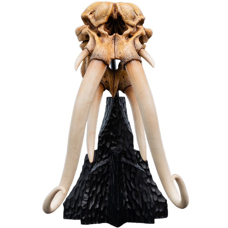The Lord of the Rings: kranie af en Mumak i miniature