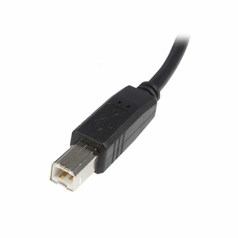 USB A til USB B-kabel Startech USB2HAB1M            Sort