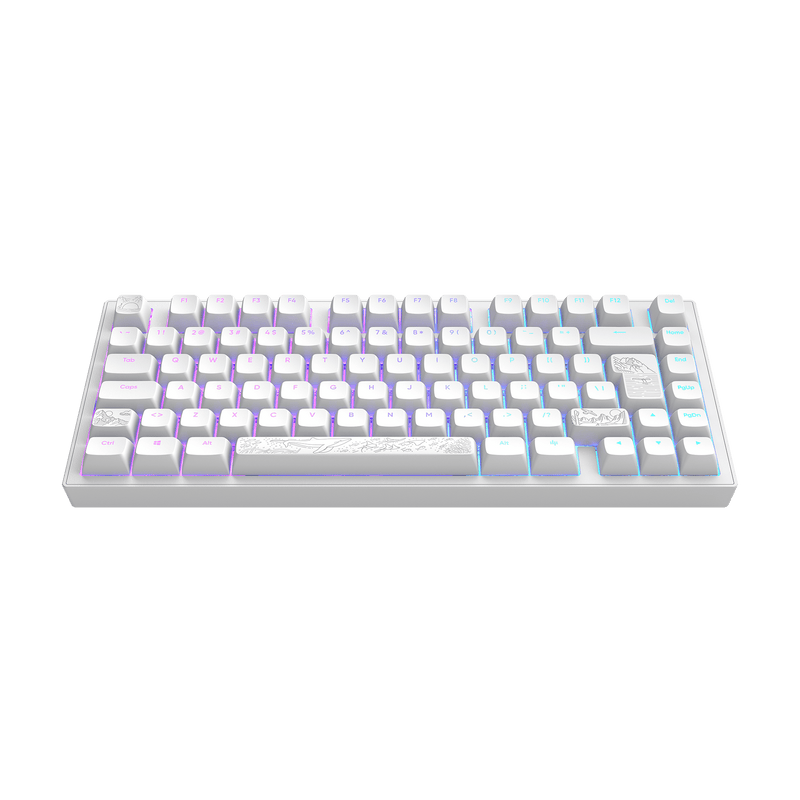 Dark Project ALU Terra Nostra hvid - kablet gamingtastatur (ISO DE)