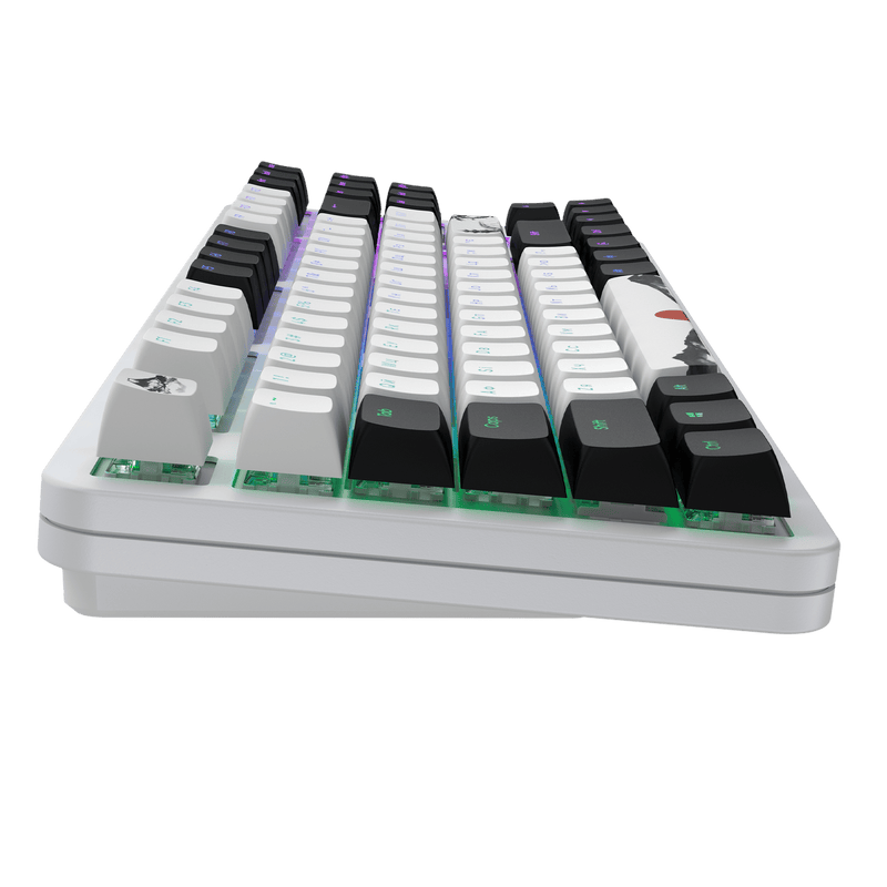 Dark Project ALU87 Fuji II - mekanisk gamingtastatur (ANSI UA)