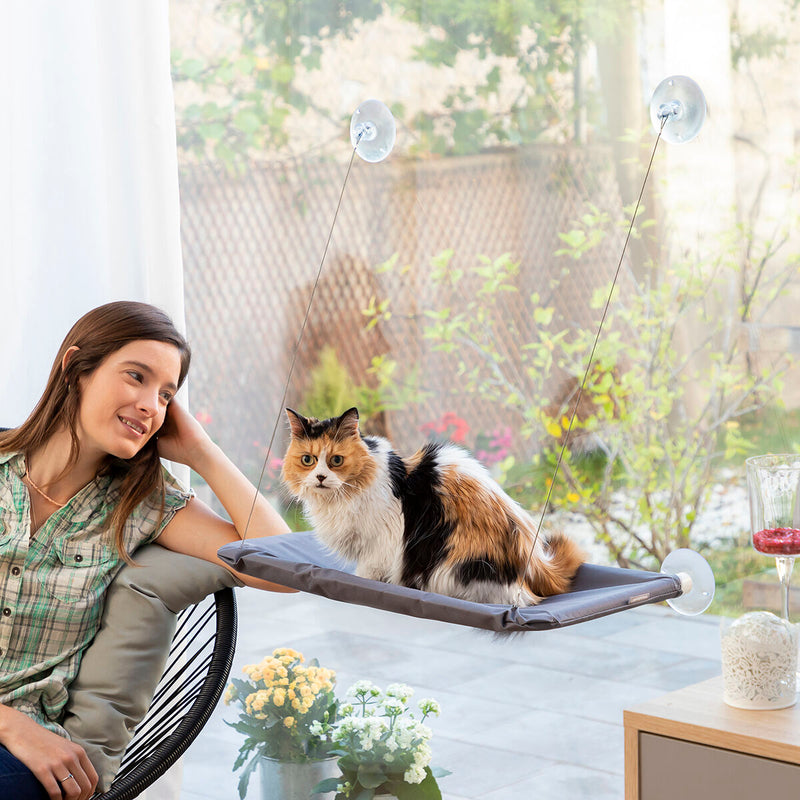 Hængende kat hængekøje Catlax InnovaGoods