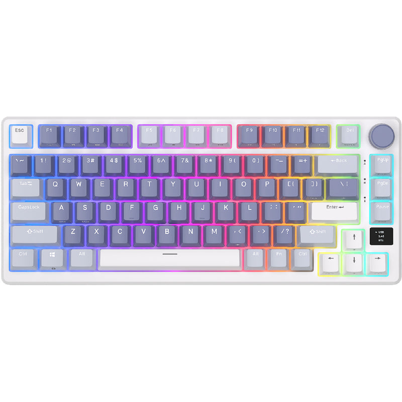 Royal Kludge M75 OLED 81K Ocean Blue - RGB ANSI (ENG) trådløs