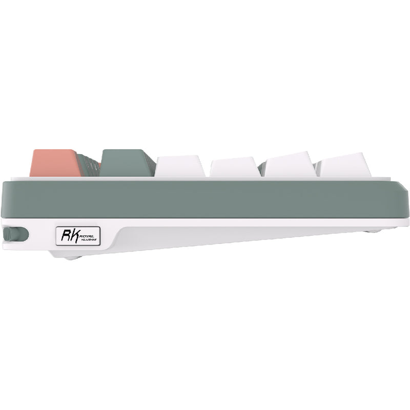 Royal Kludge S98 TFT lineær 98K Camping - RGB ANSI (ENG) trådløs