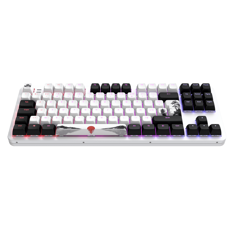 Dark Project ALU87 Fuji II - mekanisk gamingtastatur (AZERTY ISO)