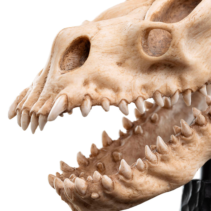 Weta Workshop Lord of the Rings - kranie af et Fell Beast, miniature