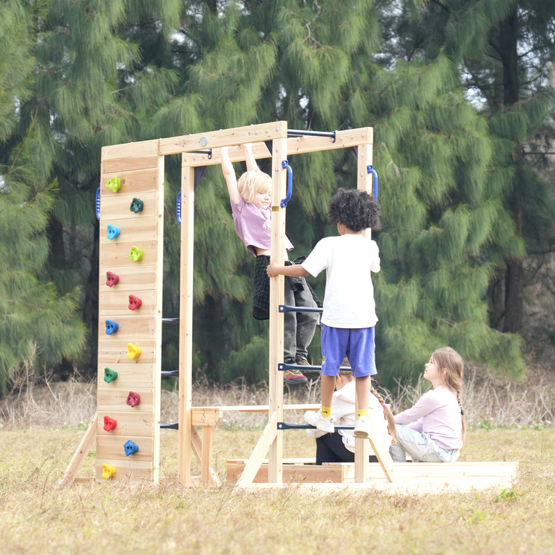 AXI Dex Klatrestativ med Sandkasse, Monkey Bars og Picnicbord