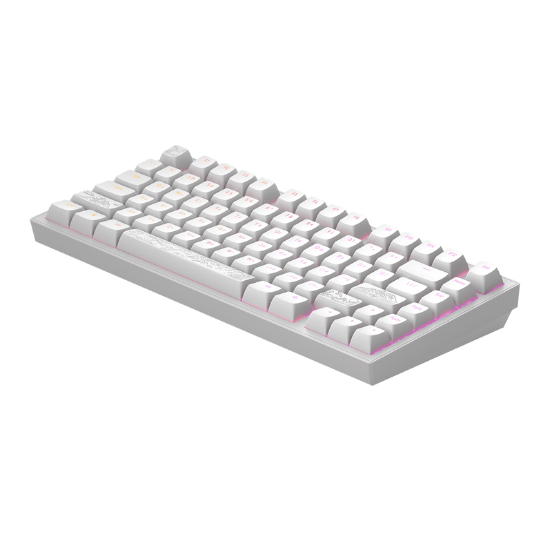 Dark Project ALU Terra Nostra hvid - kablet gamingtastatur (ANSI UA)