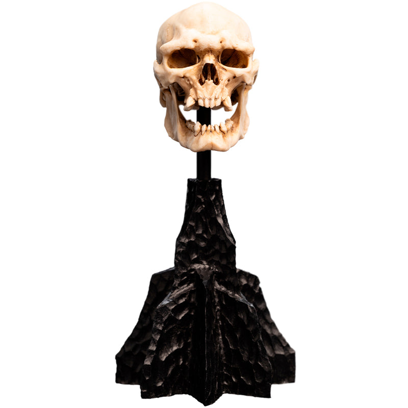 Weta Workshop The Lord of the Rings - minikranie af en Mordor Orc