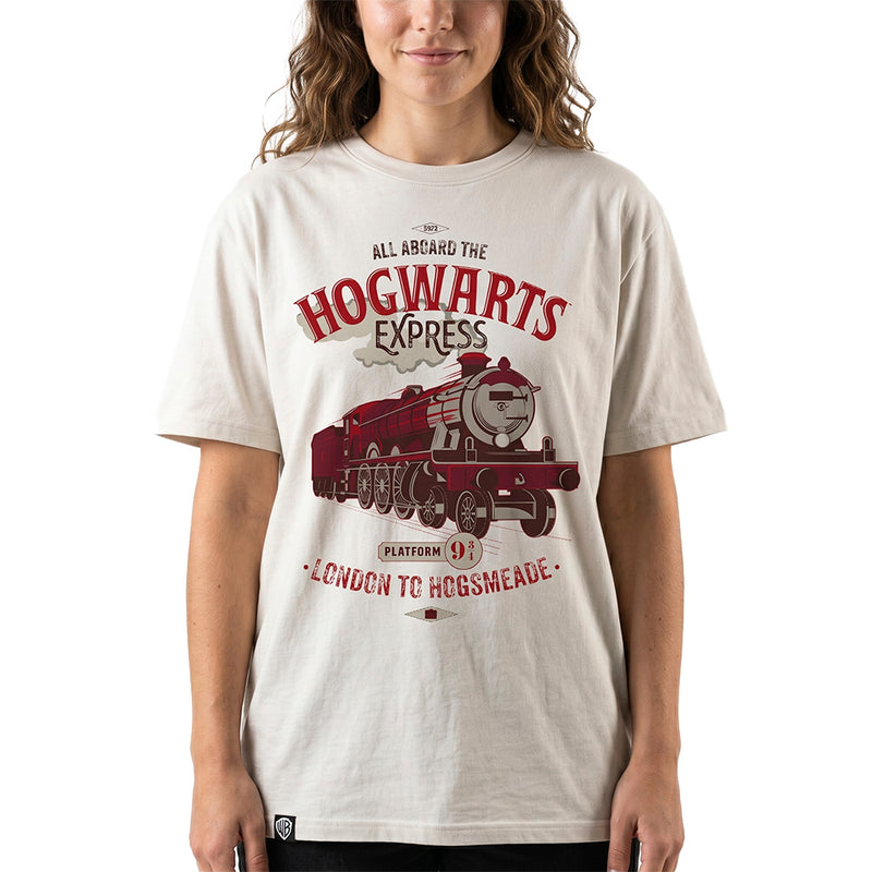 Harry Potter T-shirt - Hogwarts Express, grå