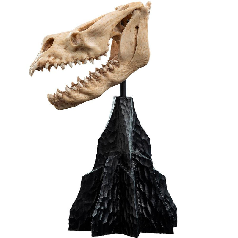 Weta Workshop Lord of the Rings - Skull of a Fell Beast Minuature