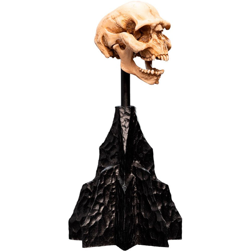 Weta Workshop Lord of the Rings - Skull of a Moria Orc Minuature