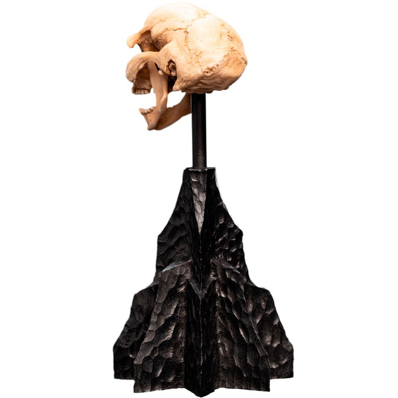 Weta Workshop Lord of the Rings - Skull of a Moria Orc Minuature