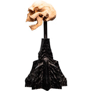 Weta Workshop Lord of the Rings - Skull of a Moria Orc Minuature