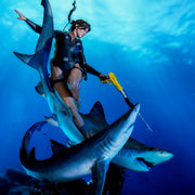 Weta Workshop Tomb Raider: Lara Croft-Quest for Avalon 1:4 Scale Statue Limited Edition