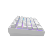 Dark Project ALU Terra Nostra White - Wired Gaming Keyboard (ISO DE)