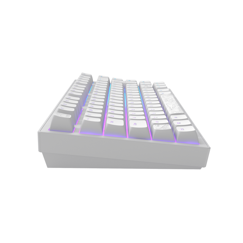 Dark Project ALU Terra Nostra White - Wired Gaming Keyboard (ISO DE)